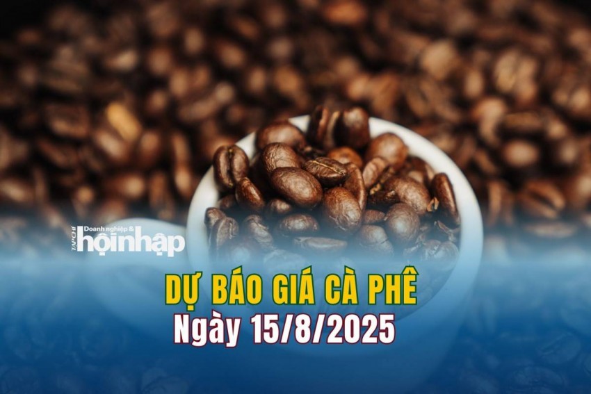 Dự báo giá cà phê 15/8/2025