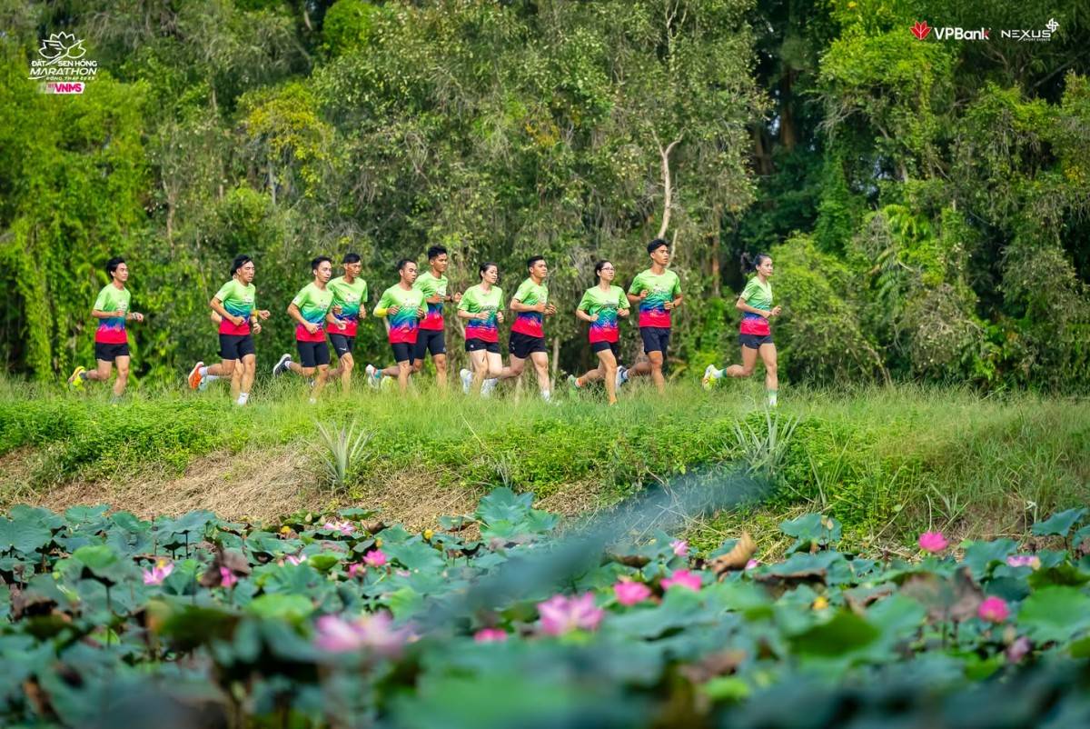 VPBank Đất Sen Hồng Music Marathon 2025 đóng góp cho hoạt động nghiên cứu, bảo tồn Sếu đầu đỏ