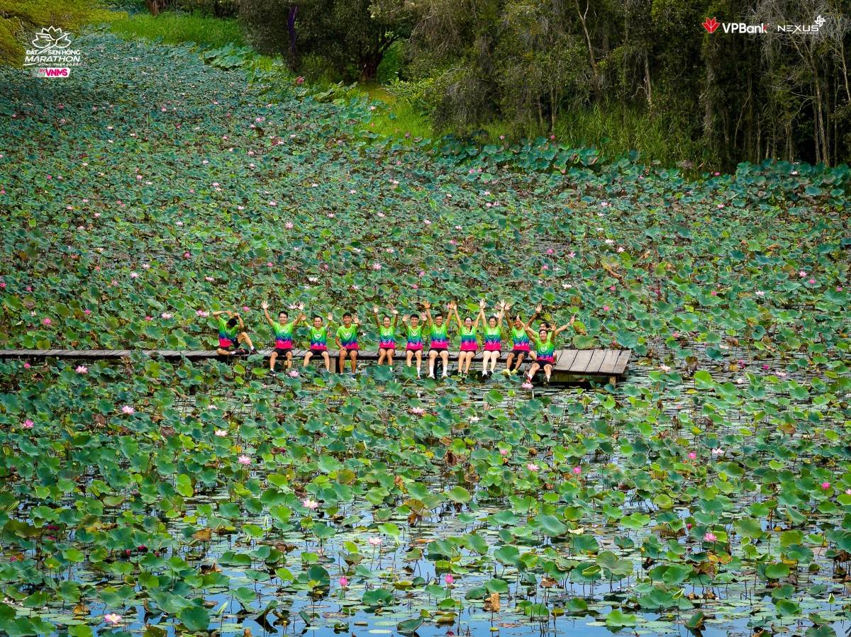 VPBank Đất Sen Hồng Music Marathon 2025 đóng góp cho hoạt động nghiên cứu, bảo tồn Sếu đầu đỏ