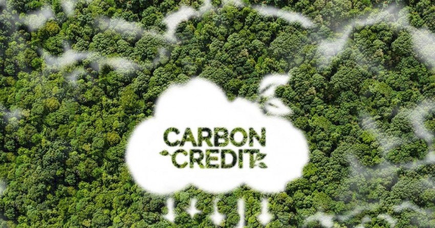 Chuẩn hóa định giá, mở rộng hợp tác: Kỳ vọng vận hành thị trường carbon rừng minh bạch và hiệu quả