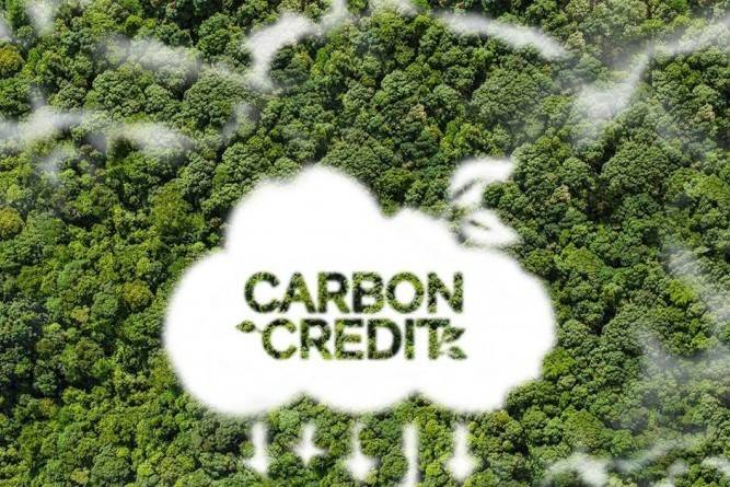 Chuẩn hóa định giá, mở rộng hợp tác: Kỳ vọng vận hành thị trường carbon rừng minh bạch và hiệu quả