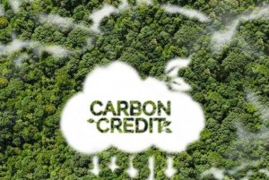 Chuẩn hóa định giá, mở rộng hợp tác: Kỳ vọng vận hành thị trường carbon rừng minh bạch và hiệu quả