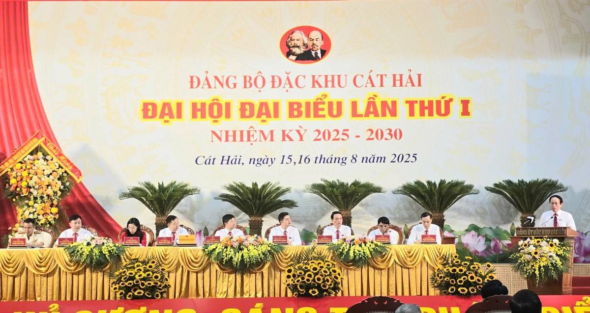 Đặc khu Cát Hải bước vào nhiệm kỳ mới: Khát vọng bứt phá, phát triển toàn diện