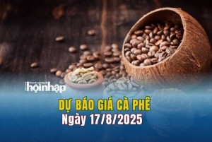 Dự báo giá cà phê 17/8: Cà phê trong nước liên tiếp tăng cao, lập "đỉnh" mới