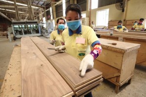 Ngành gỗ Việt Nam: Tăng trưởng trở lại, áp lực tự chủ nguyên liệu càng lớn