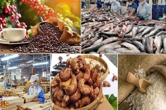 Gạo, thủy sản, gỗ đồng loạt tăng tốc; xuất khẩu nông nghiệp hướng tới 65 tỷ USD