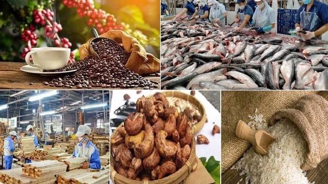 Gạo, thủy sản, gỗ đồng loạt tăng tốc, xuất khẩu nông nghiệp hướng tới 65 tỷ USD