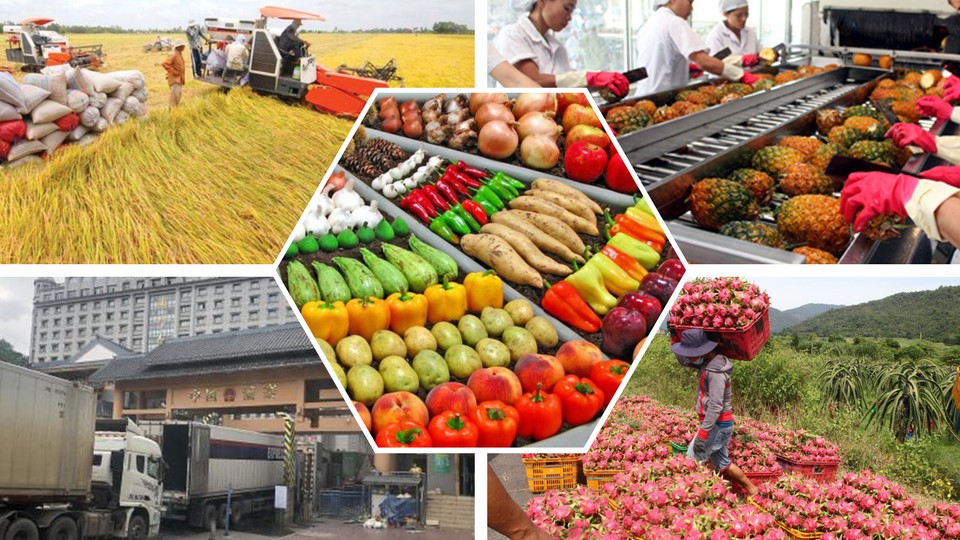 Xuất khẩu nông - lâm - thủy sản: Phấn đấu 70 tỷ USD trong năm 2025