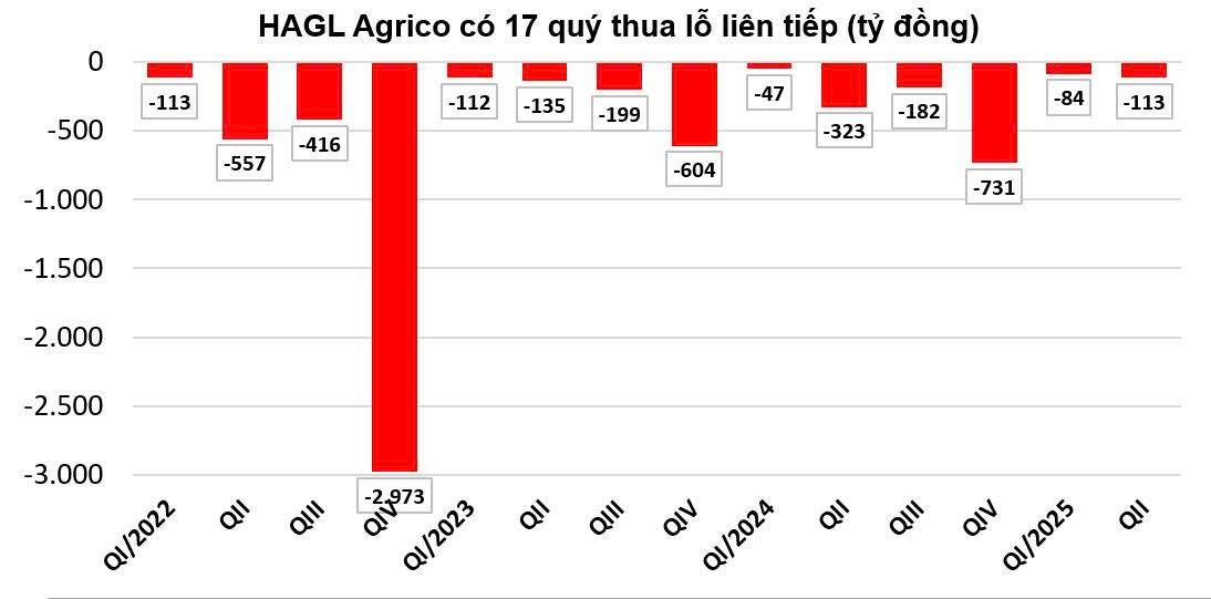 Ví HAGL Agrico như  “cái xác không hồn”, vì sao THACO không buông tay?