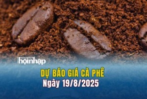 Dự báo giá cà phê 19/8: Cà phê trong nước và thế giới tăng "sốc"