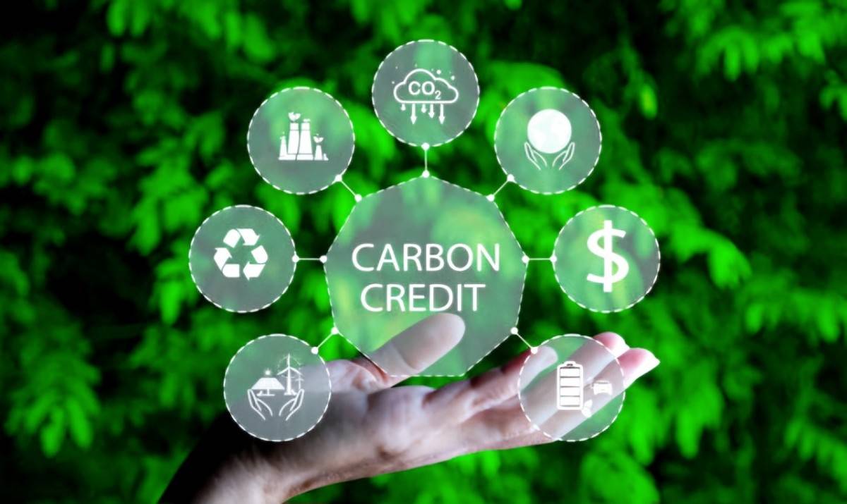 Bộ Tư pháp rà soát, đề xuất sửa đổi pháp luật để phát triển thị trường carbon