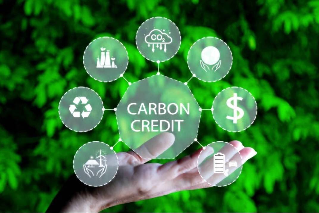 Bộ Tư pháp rà soát, đề xuất sửa đổi pháp luật để phát triển thị trường carbon