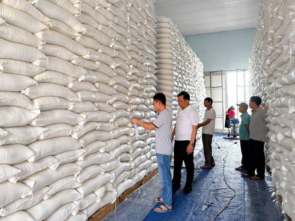 Dồn lực hoàn thành nhập bổ sung 280.000 tấn lương thực dự trữ quốc gia trước 15/10