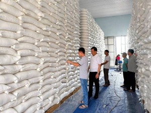 Dồn lực hoàn thành nhập bổ sung 280.000 tấn lương thực dự trữ quốc gia trước 15/10