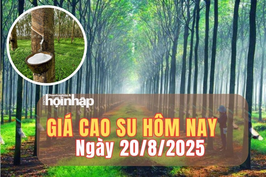 giá cao su giá cao su
