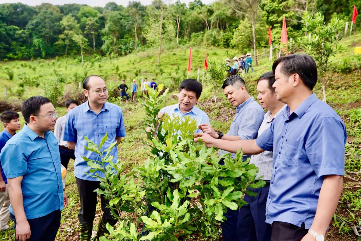 Điện Biên: Động lực tăng trưởng từ nông nghiệp xanh