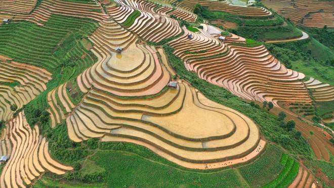 Văn hóa du lịch văn minh: Xây dựng thương hiệu điểm đến Lào Cai