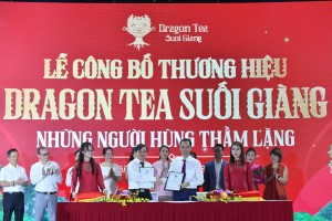 Dragon Tea Suối Giàng – Khi mỗi búp trà trở thành bản giao hưởng của đất trời Tây Bắc