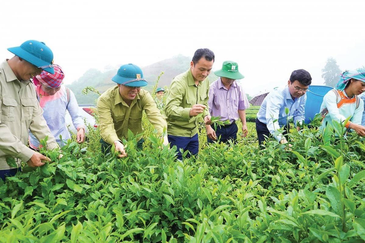 Lào Cai thành lập Quỹ Hỗ trợ nông dân - động lực mới cho phát triển kinh tế nông thôn