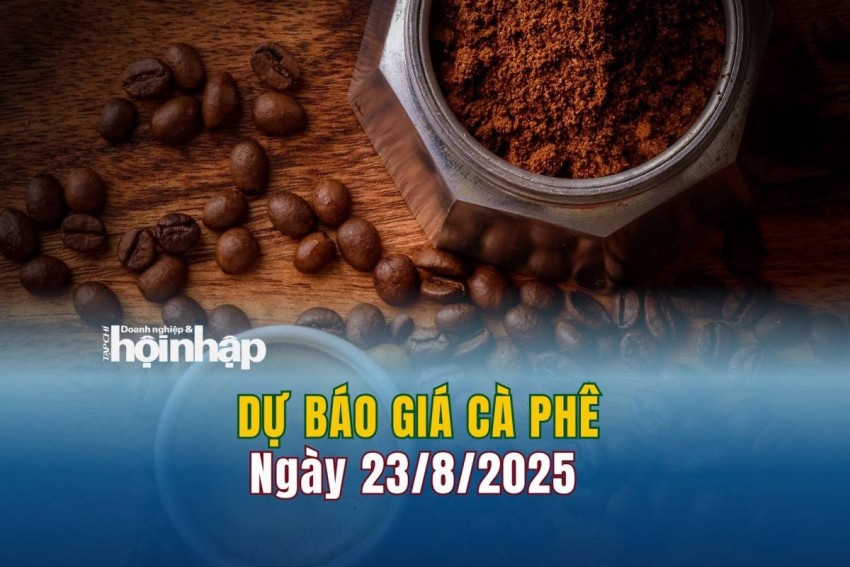 Dự báo giá cà phê 23/8/2025