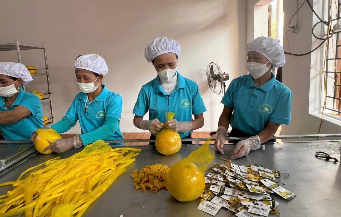 Tem truy xuất nguồn gốc – "tấm hộ chiếu" của nông sản Phú Thọ