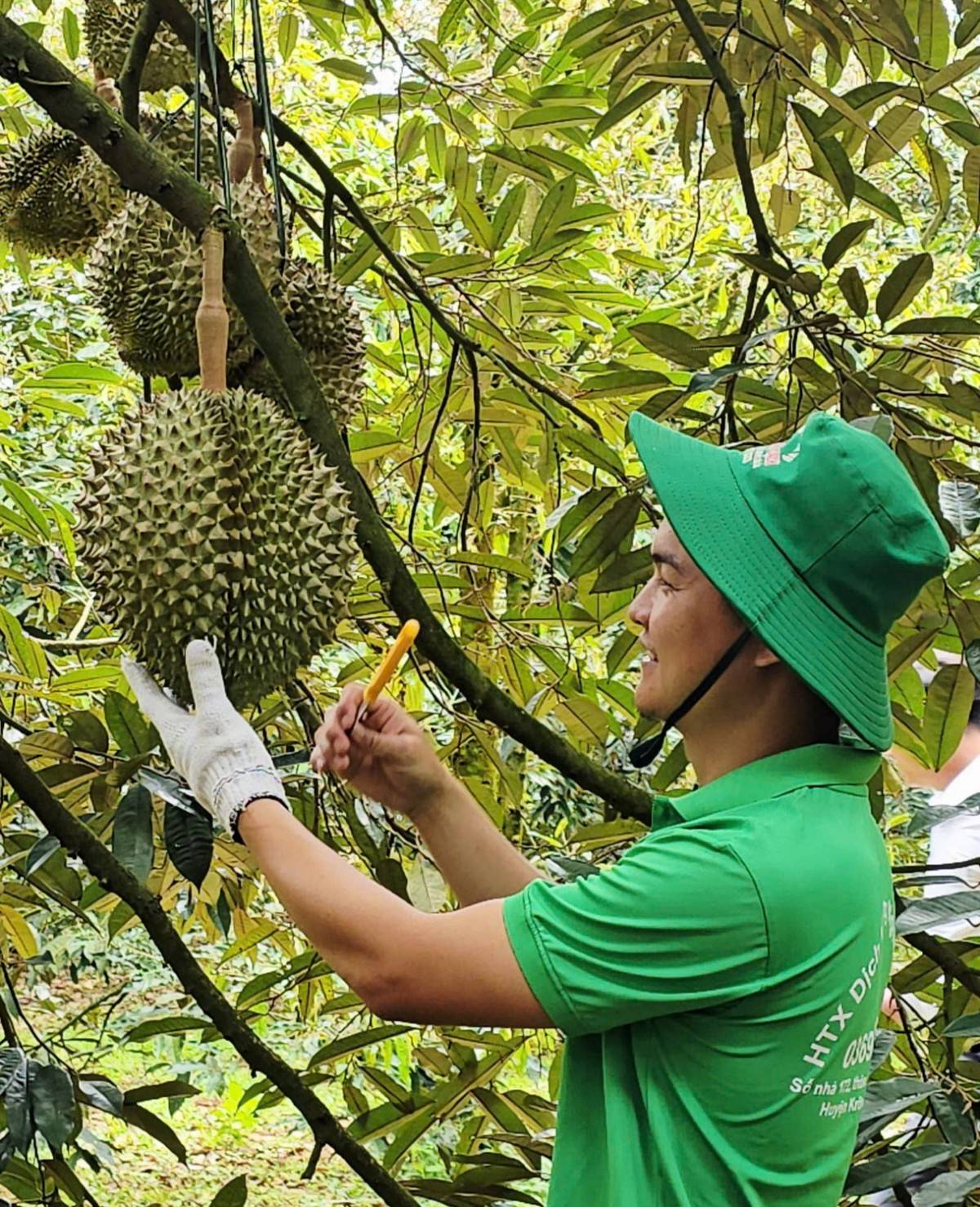 Livestream, Đắk Lắk, xã Ea Knuếc, Bí thư 1