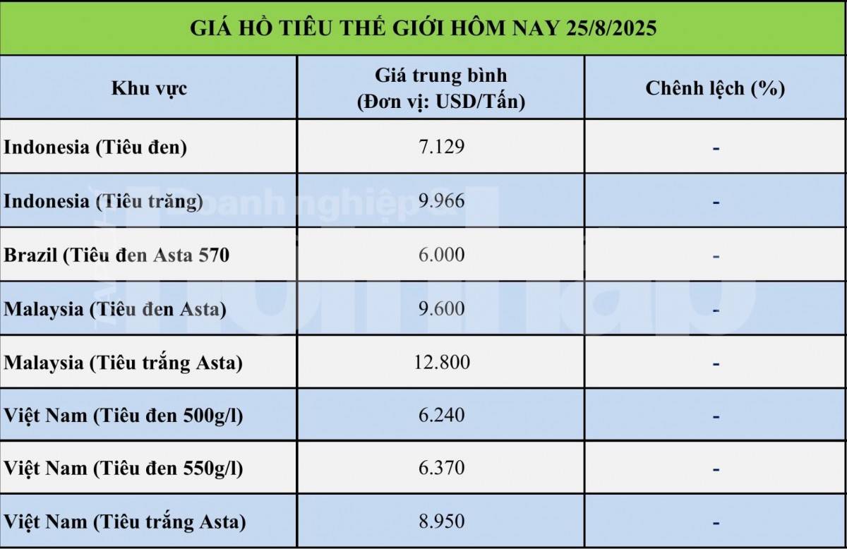 Giá tiêu hôm nay 24/8: Giá tiêu tăng nhẹ, nông dân hưởng lợi từ mô hình trái vụ Giá tiêu hôm nay 24/8: Giá tiêu tăng nhẹ, nông dân hưởng lợi từ mô hình trái vụ