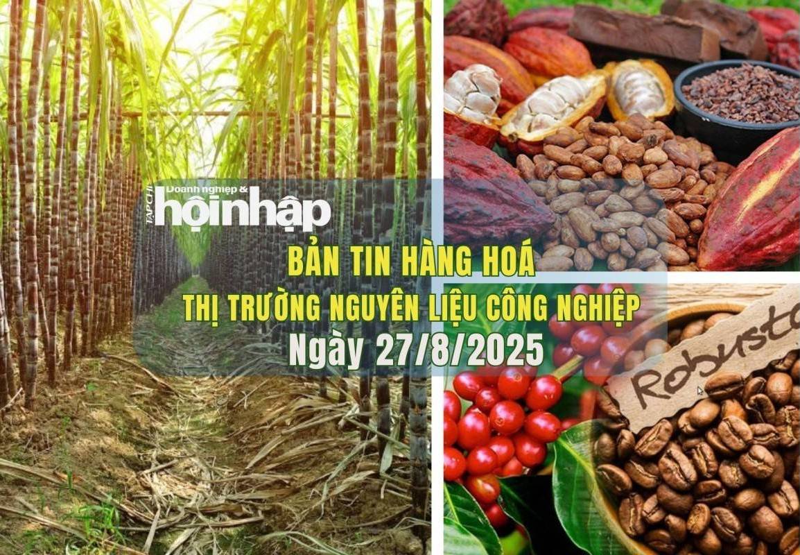 Thị trường nguyên liệu công nghiệp 27/8: Giá cà phê, ca cao và đường biến động trái chiều