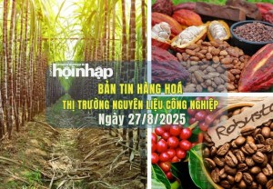 Thị trường nguyên liệu công nghiệp 27/8: Giá cà phê, ca cao và đường biến động trái chiều