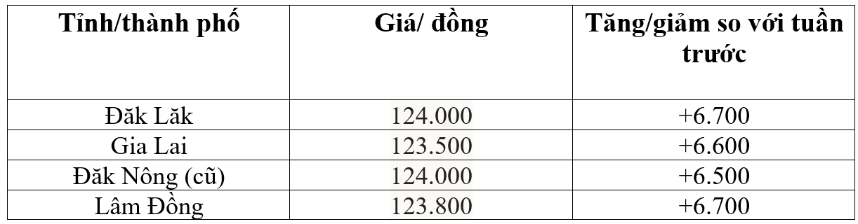 Bảng giá cà phê trong nước hôm nay 25/8/2025