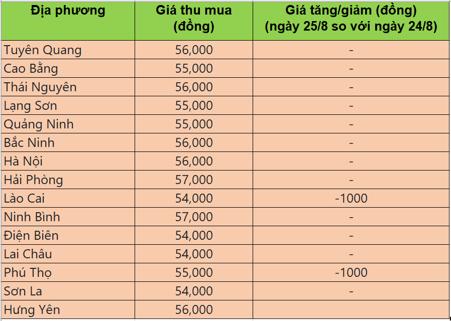 Bảng giá heo hơi tại miền Bắc hôm nay 25/8/2025