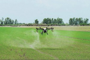 "Nút thắt" thuốc bảo vệ thực vật: Rào cản vô hình trên đường xuất khẩu nông sản