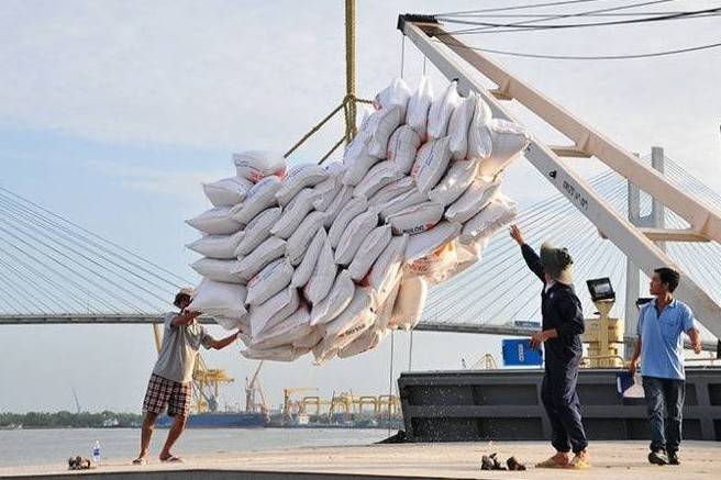 Gạo Việt Nam tăng tốc xuất khẩu, chinh phục thị trường EU với giá trị cao