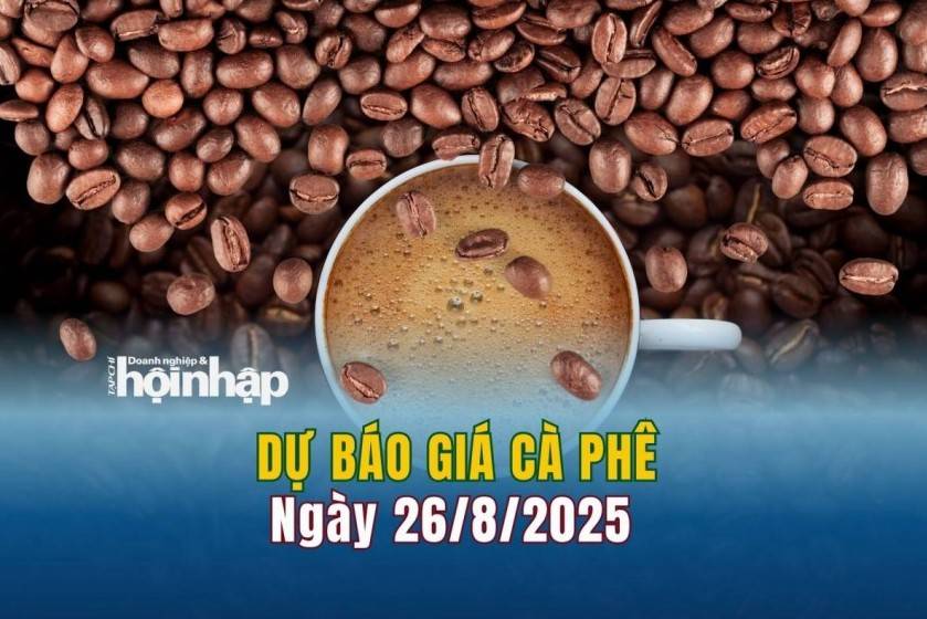 Dự báo giá cà phê 26/8: Cà phê trong nước "quay xe" giảm mạnh