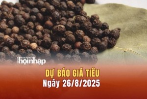 Dự báo giá tiêu 26/8: Tiêu trong nước tăng cao, lập kỷ lục mới