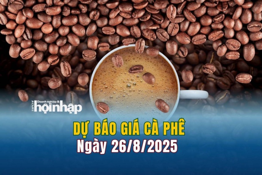 Dự báo giá cà phê 26/8/2025