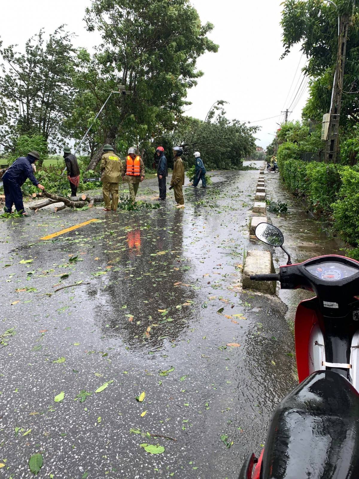 Người dân miền Trung 
