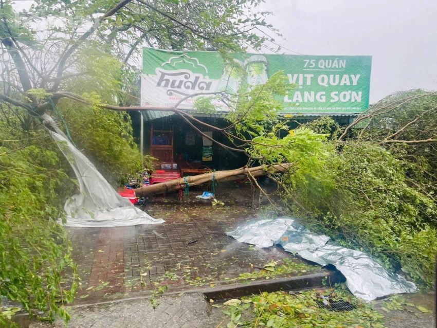 Bão số 5 đổ bộ, Hà Tĩnh thiệt hại nặng nề