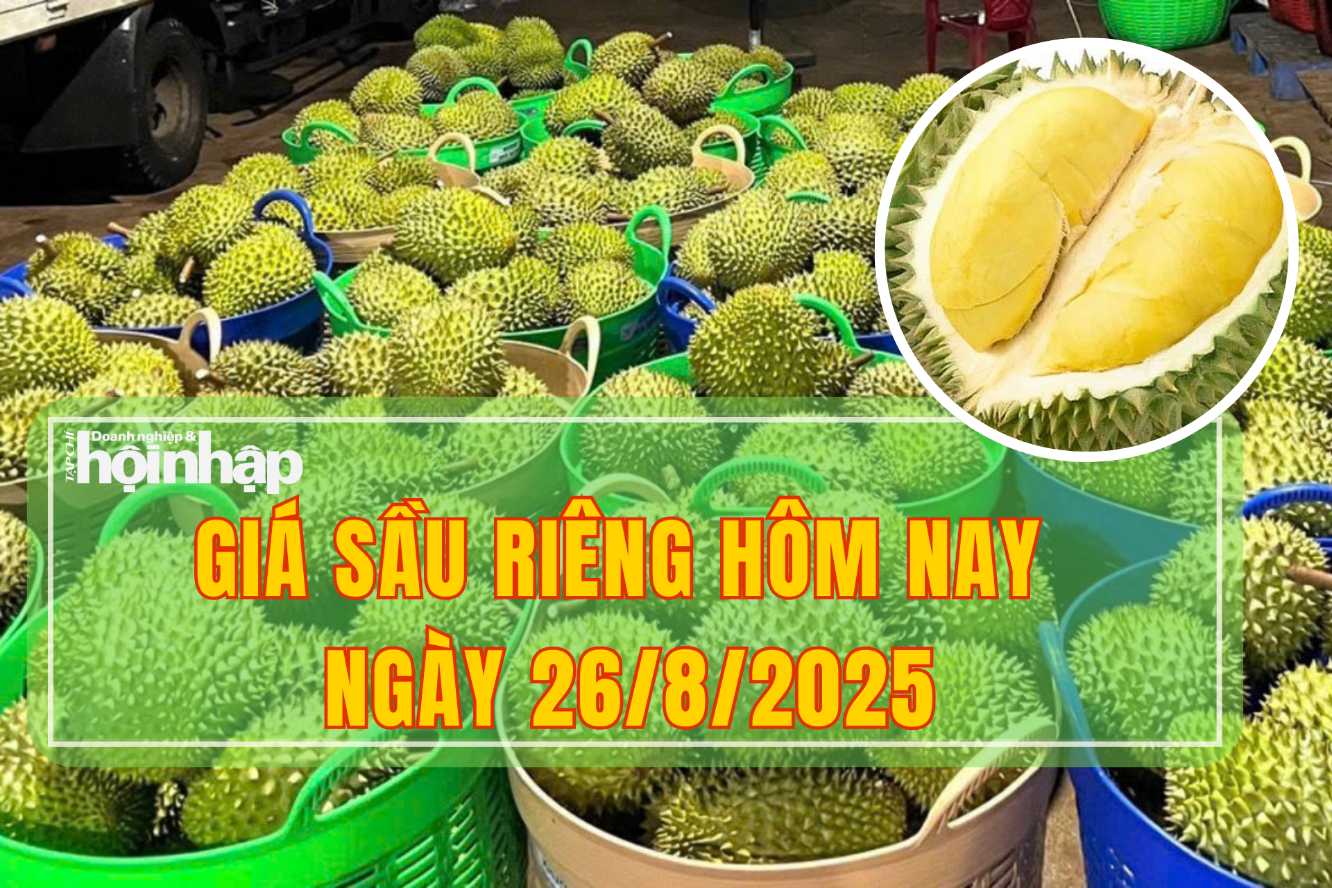 Giá sầu riêng hôm nay 26/8: Sầu riêng ri6 tăng giá