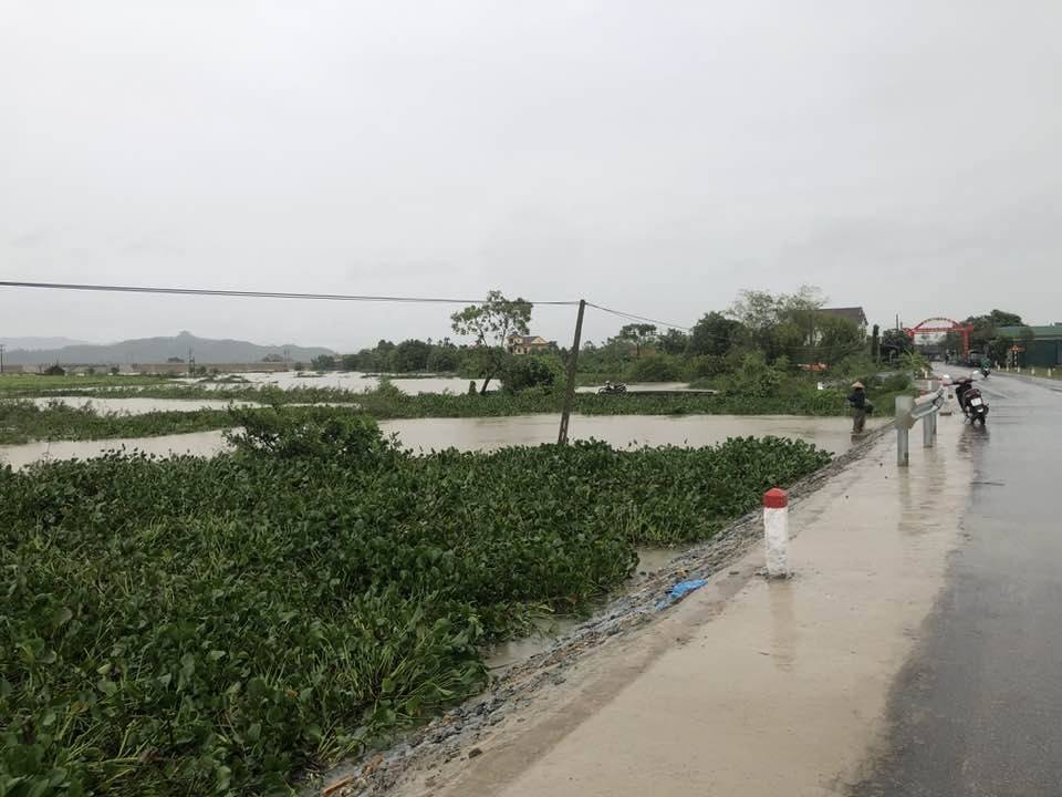 Chùm ảnh: Nghệ An - Hà Tĩnh tan hoang sau bão Kajiki Chùm ảnh: Nghệ An - Hà Tĩnh tan hoang sau bão Kajiki