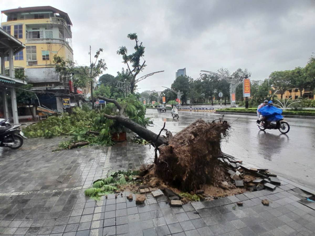 Xã Sơn Điện (Thanh Hóa) di dời khẩn cấp các hộ dân trước khi lũ quét tràn tới Xã Sơn Điện (Thanh Hóa) di dời khẩn cấp các hộ dân trước khi lũ quét tràn tới