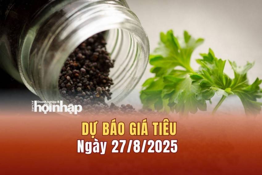 Dự báo giá tiêu 27/8: Tiêu trong nước tiếp đà "bật" tăng