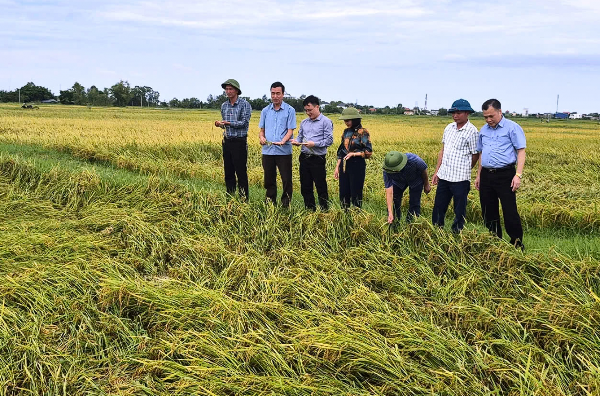 Quảng Trị tập trung khắc phục hậu quả bão số 5, khôi phục đời sống sản xuất