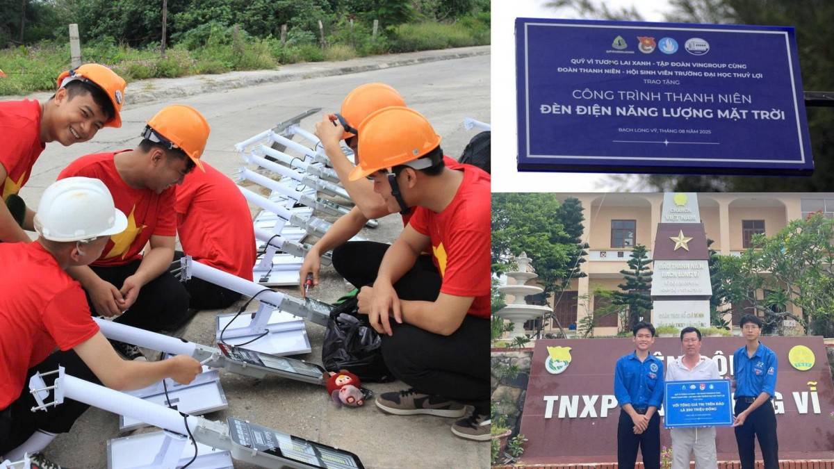 Trong 4 ngày trên đảo, sinh viên tình nguyện của Trường Đại học Thủy Lợi đã triển khai và hoàn tất việc lắp đặt hệ thống đèn năng lượng mặt trời trên đảo Bạch Long Vĩ.