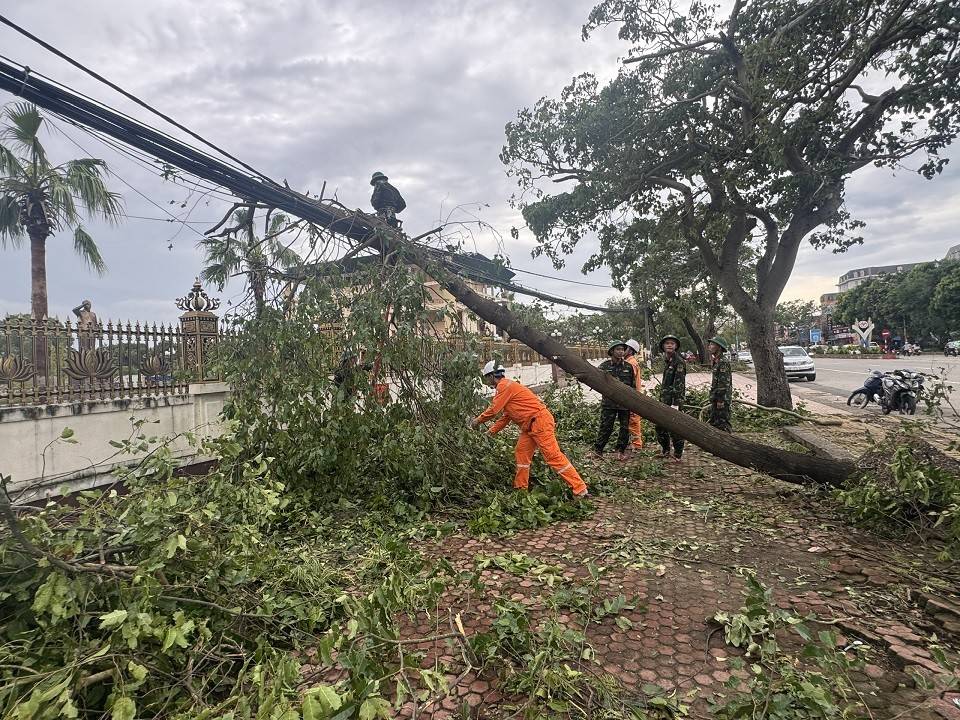 Lực lượng quân nhân Bộ chỉ huy quân sự tỉnh Nghệ An hỗ trợ PC Nghệ An khẩn trương giải phóng, chặt cây gãy đỗ trên đường dây để sớm khắc phục lưới điện