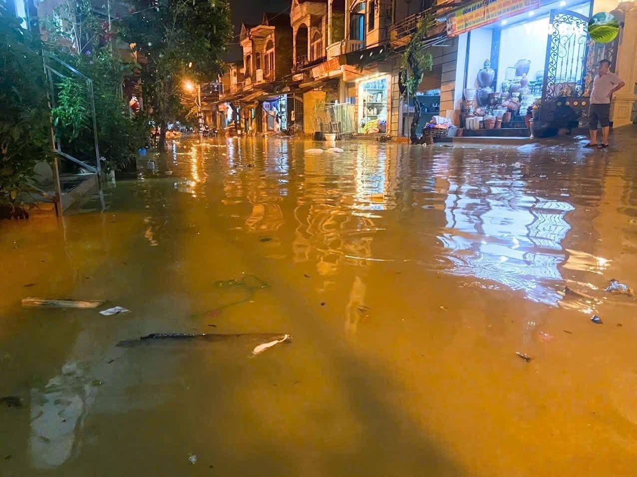 Sông Hồng vượt báo động: Cảnh báo ngập lụt diện rộng, người dân – doanh nghiệp không thể chủ quan