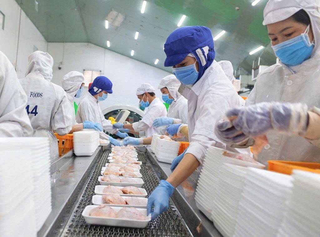 Hội nghị không giới hạn trong một nhóm sản phẩm nhất định mà hướng tới đa ngành hàng. Ảnh minh họa