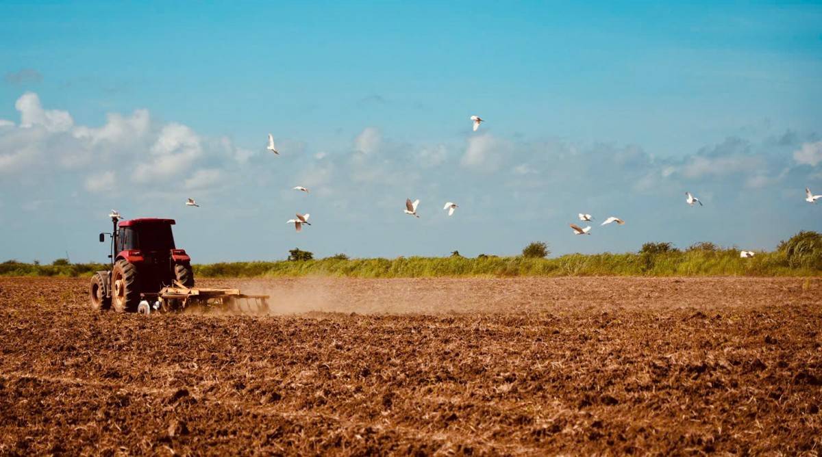“Hạt giống hạnh phúc” – bộ phim VTV đặc biệt lan tỏa tình hữu nghị Việt Nam – Cuba