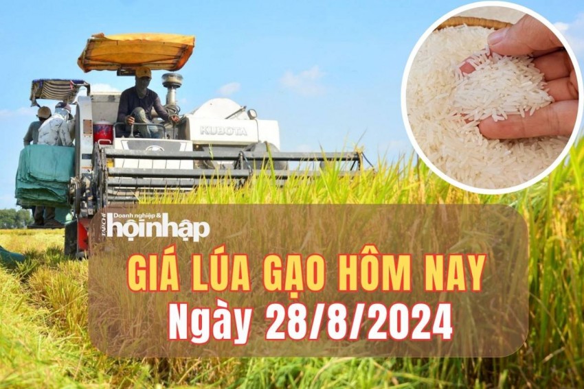giá lúa gạo