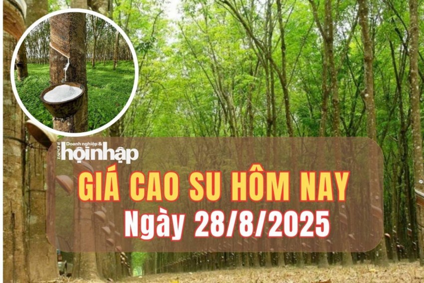 giá cao su giá cao su